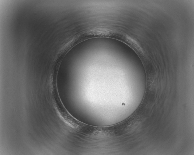 X0000071770538200607071304