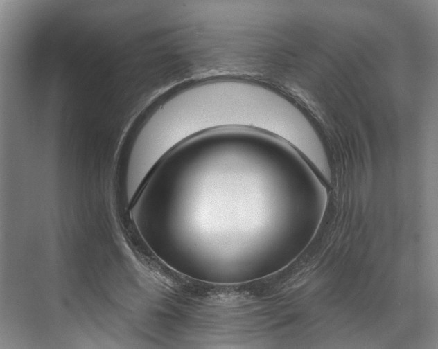 X0000071770540200607071304