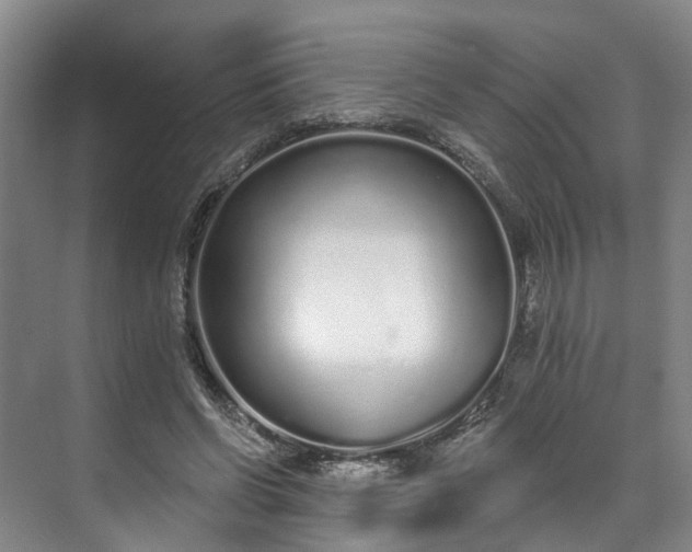 X0000071770542200607071304