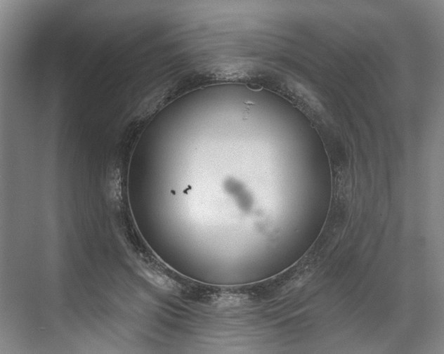 X0000071770549200607071304