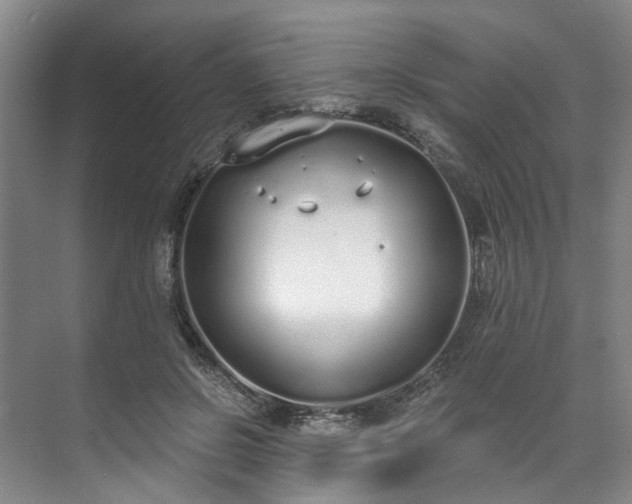 X0000071770550200607071304