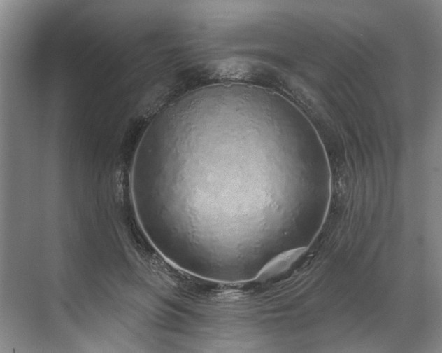 X0000071770551200607071304