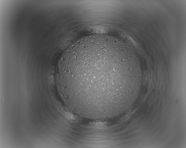 X0000071770553200607071304