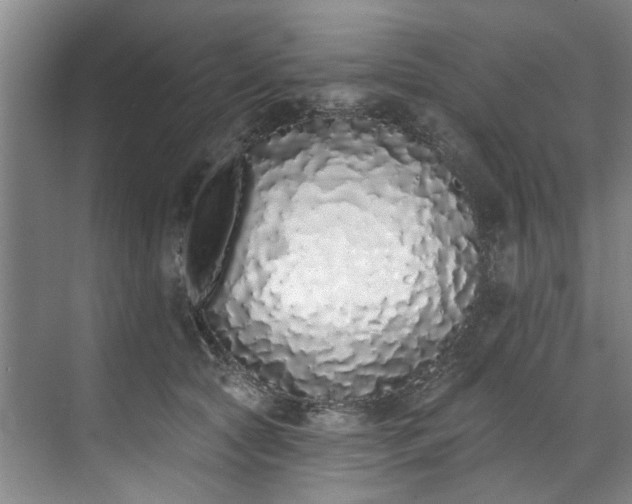 X0000071770561200607071304