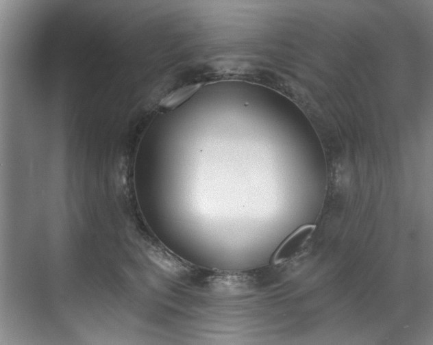 X0000071770567200607071304