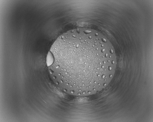 X0000071770569200607071304