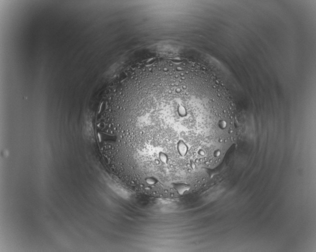 X0000071770573200607071305