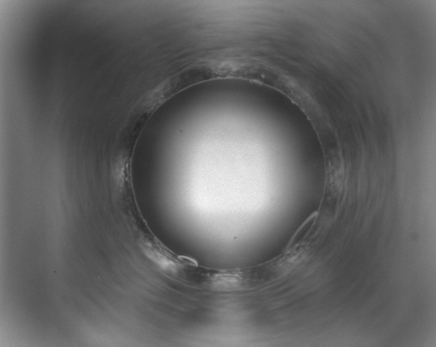 X0000071770574200607071305