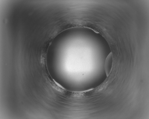 X0000071770576200607071305