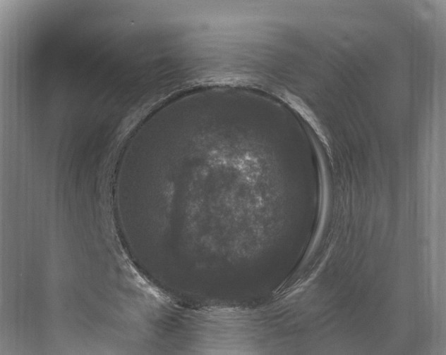 X0000071770577200607071304