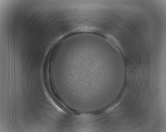 X0000071770581200607071304