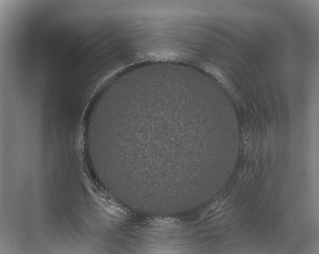 X0000071770583200607071304