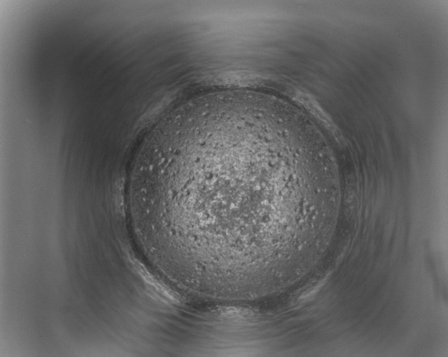 X0000071770585200607071304