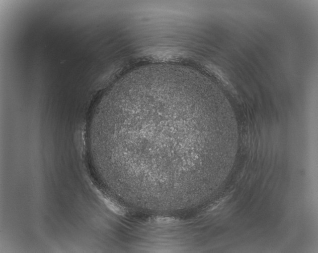 X0000071770590200607071304