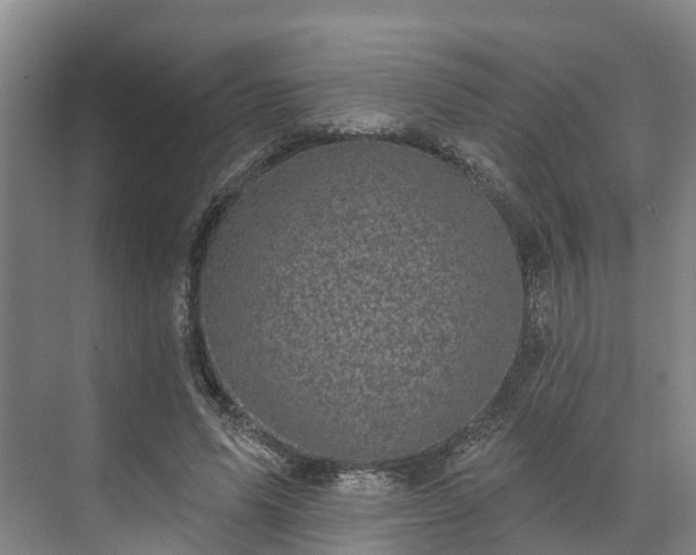 X0000071770591200607071304