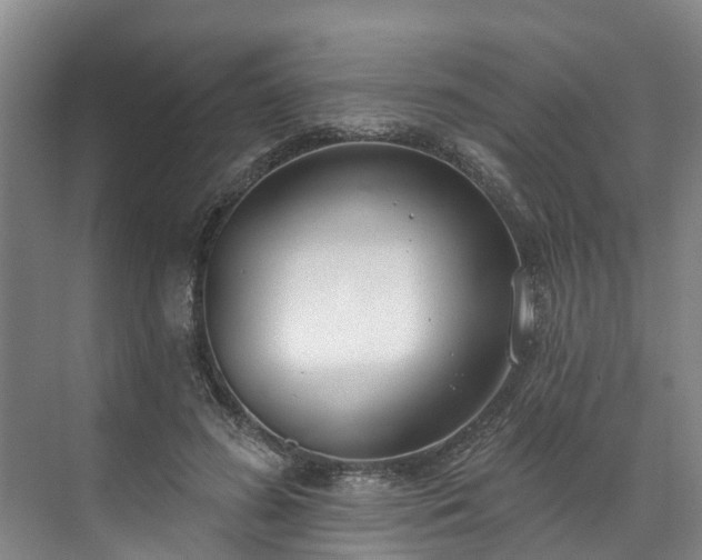 X0000071770596200607071303