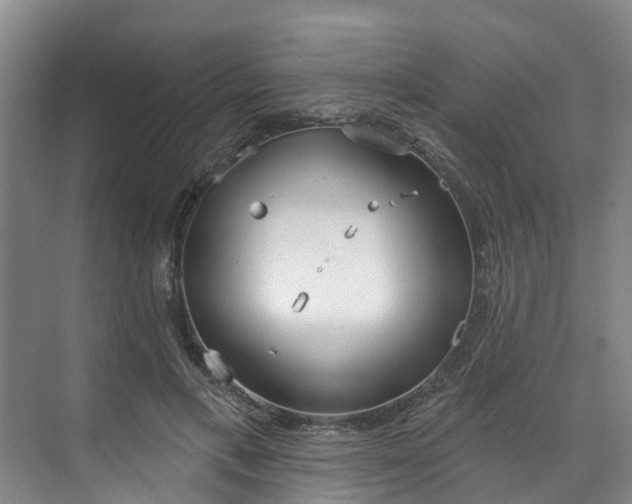 X0000071770597200607071303