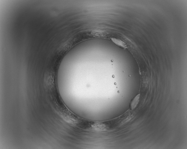 X0000071770603200607071303