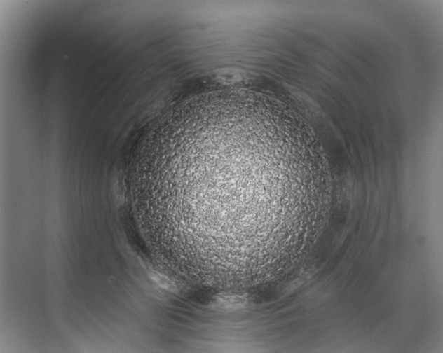 X0000071770606200607071303