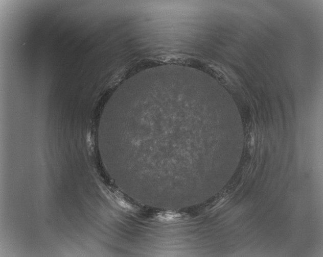 X0000071770607200607071303