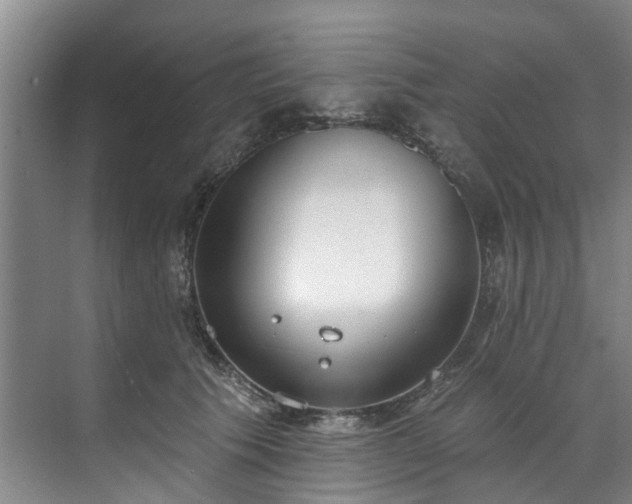 X0000071770609200607071303