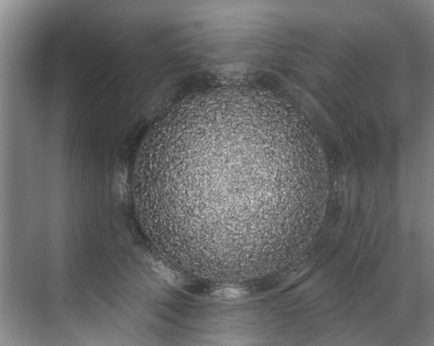 X0000071770610200607071303