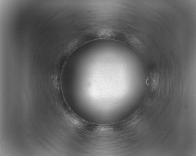 X0000071770619200607071303