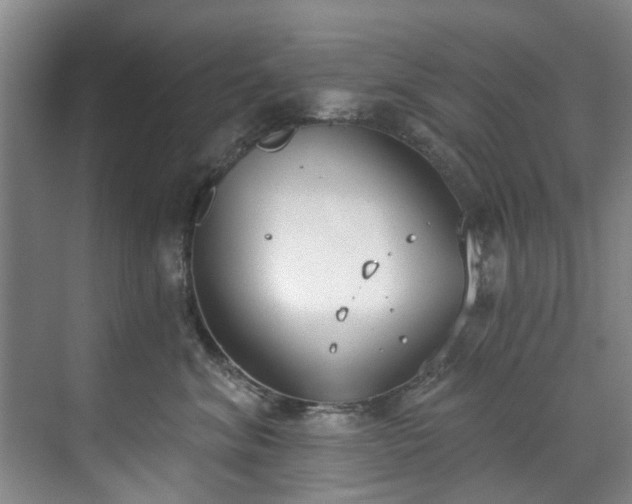 X0000071770620200607071303