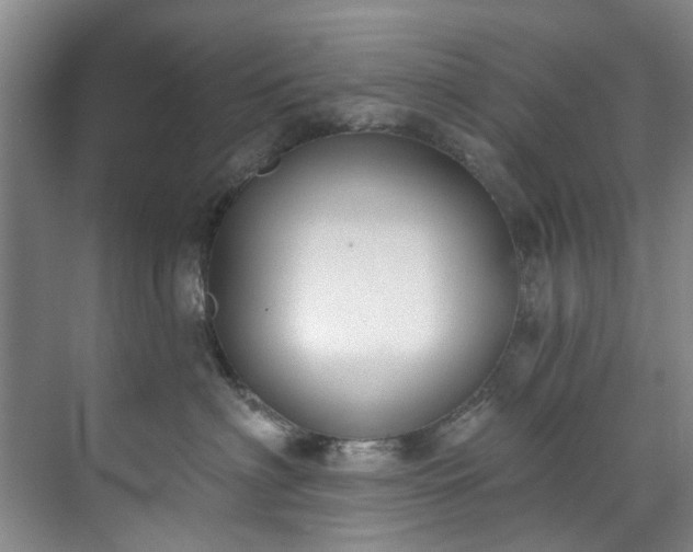 X0000071770622200607071303