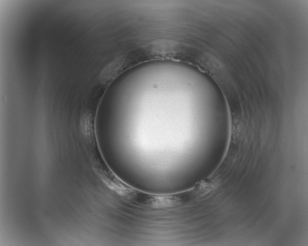 X0000071770623200607071303