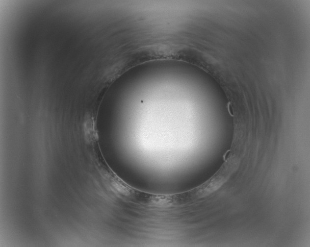 X0000071770624200607071303