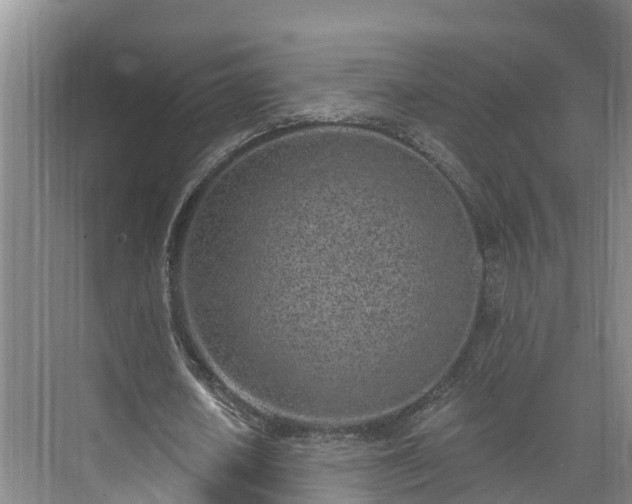 X0000071770626200607071302