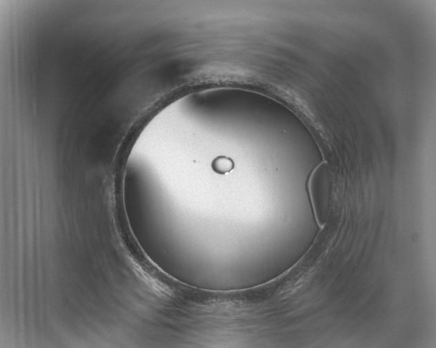 X0000071770629200607071302