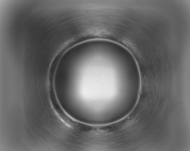 X0000071770630200607071302