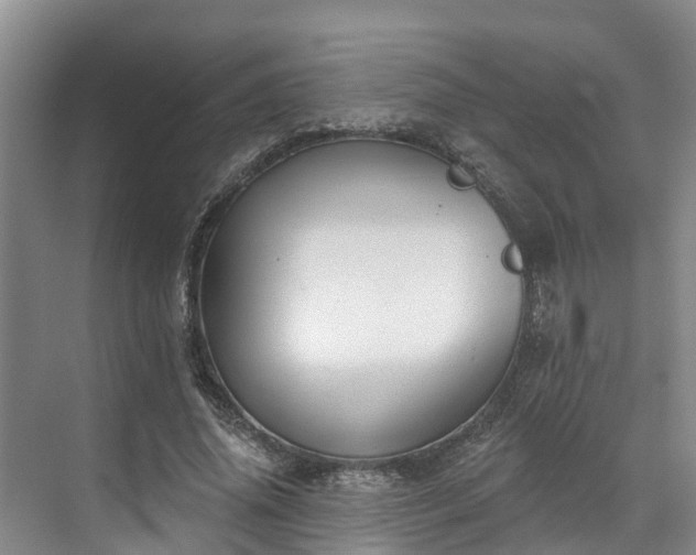 X0000071770636200607071302