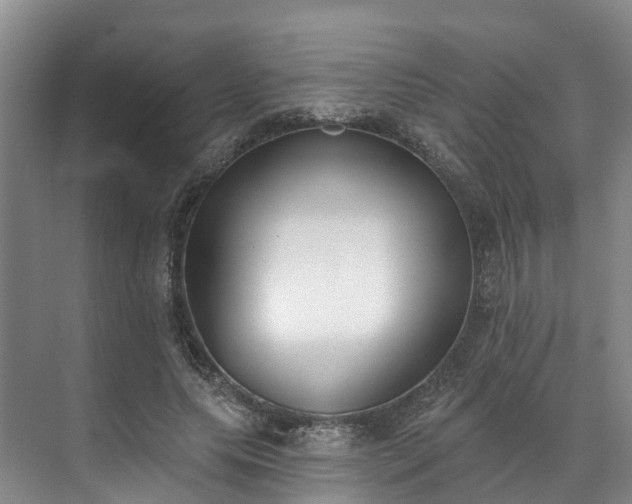 X0000071770639200607071302