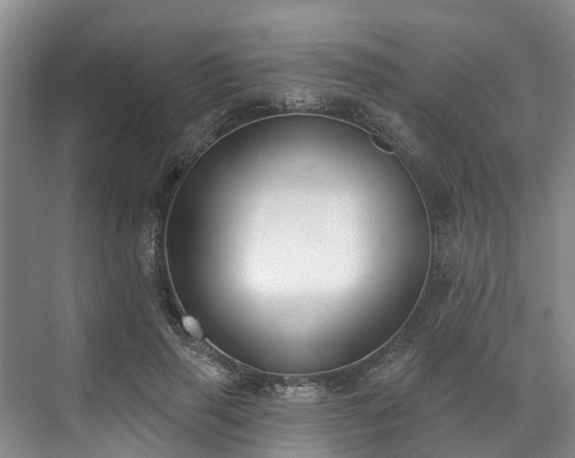 X0000071770645200607071303