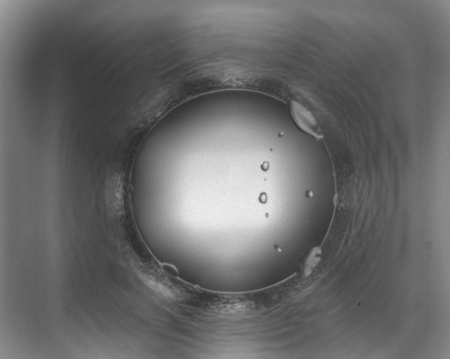 X0000071770646200607071303