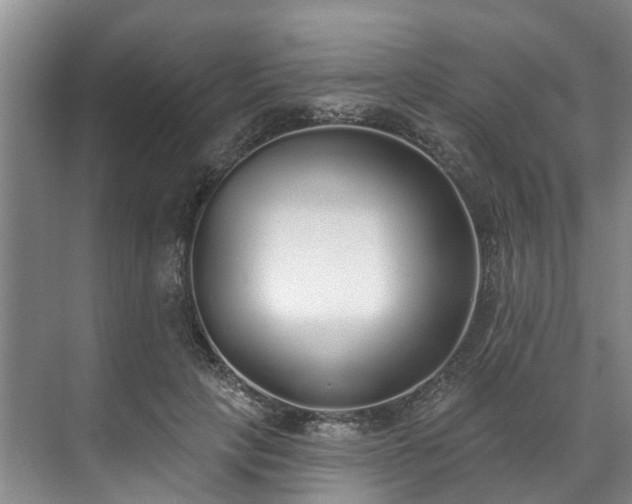 X0000071770649200607071303