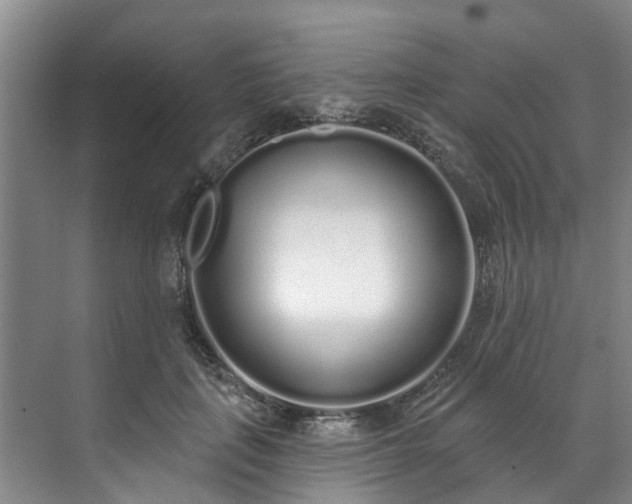 X0000071770651200607071303