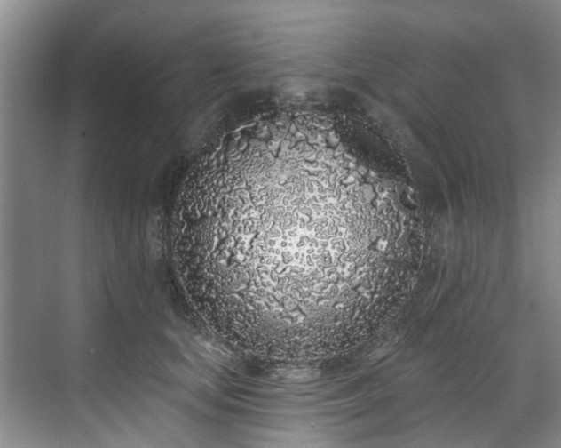 X0000071770659200607071303