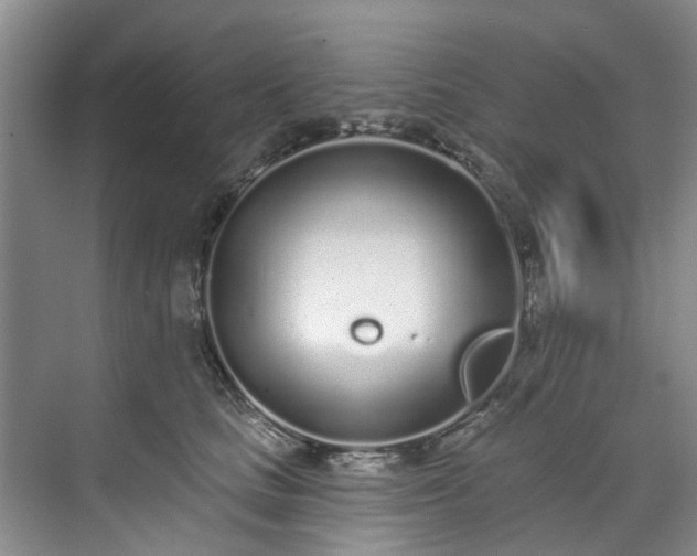 X0000071770661200607071303