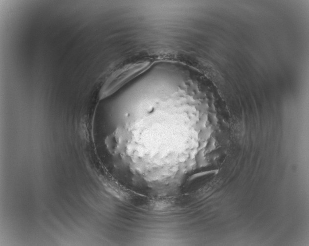 X0000071770662200607071303