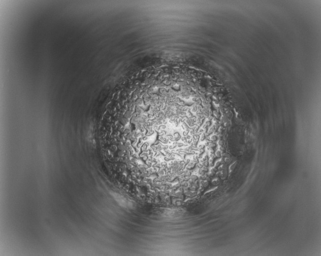 X0000071770663200607071303