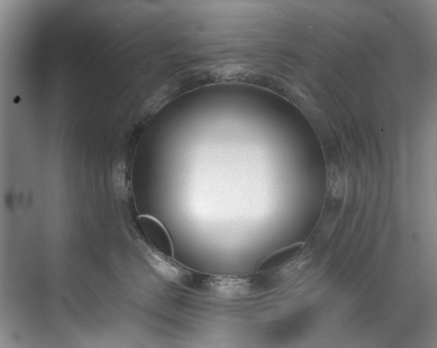 X0000071770670200607071303