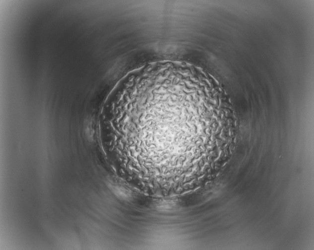 X0000071770671200607071303