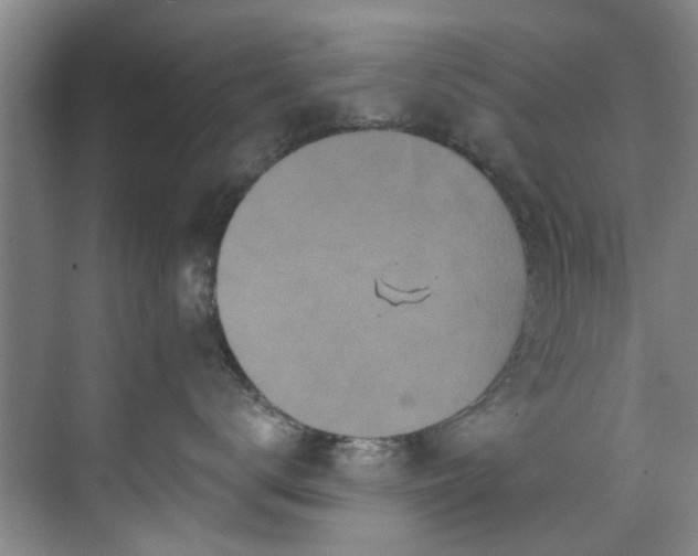 X0000071770672200607071303