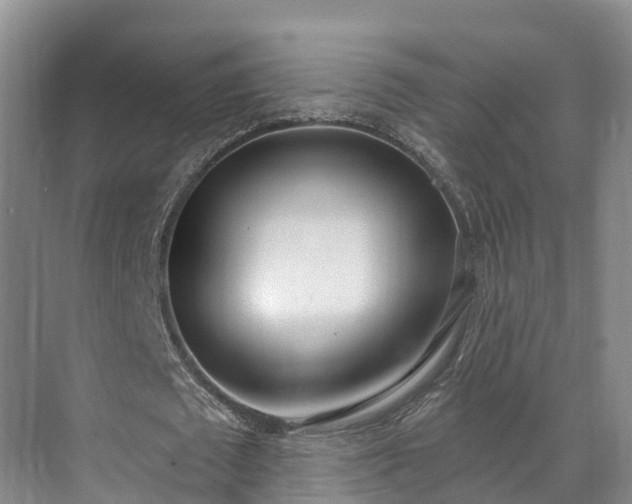 X0000071770673200607071302