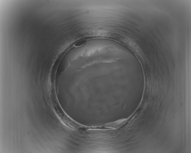 X0000071770674200607071302