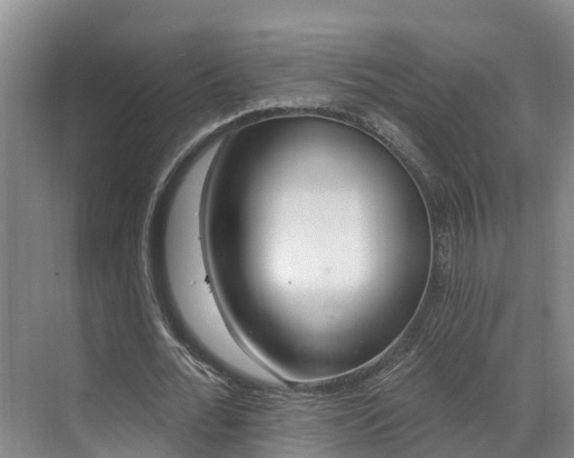 X0000071770676200607071302